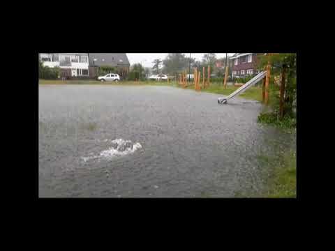 Swale Limmen The Netherlands June 2021