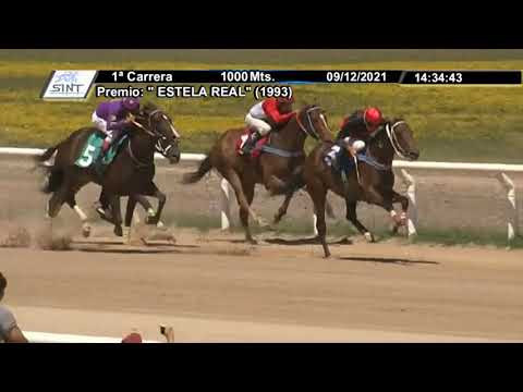 CARRERAS SINT PAYSANDU 211209 c01- 1° HUMORISTA
