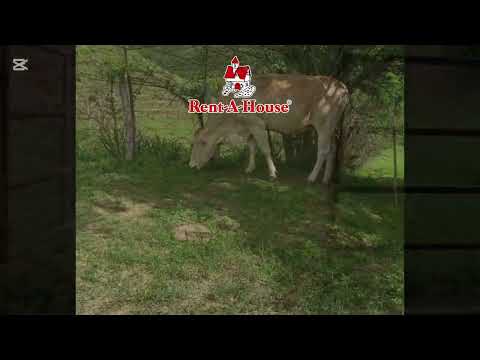Finca en Venta de 49 hectáreas Troncal 5 vía Tinaquillo - San Carlos 