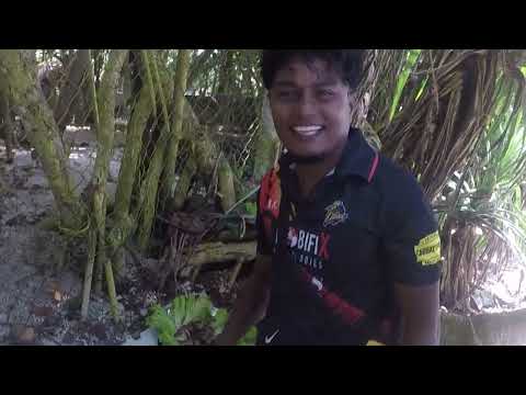 90 Set Eka Thalpe Beach Eke Daapu Supiri Partiya