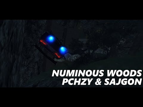 PCHZY & SajgoN - Numinous Woods
