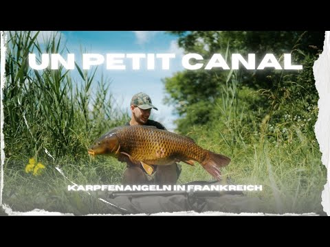 Karpfenangeln am Kanal // Französische Kanäle mit CarpForce