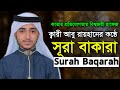 2nd Surah Al Baqarah Qari Abu Rayhan سورة البقرة للقارئ حفظ القرآن الكر