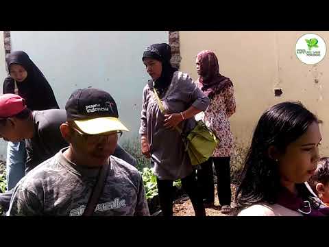 FIELD TRIP KAMPUNG SAWI MONDOROKO | BRASSICANTV eps.9