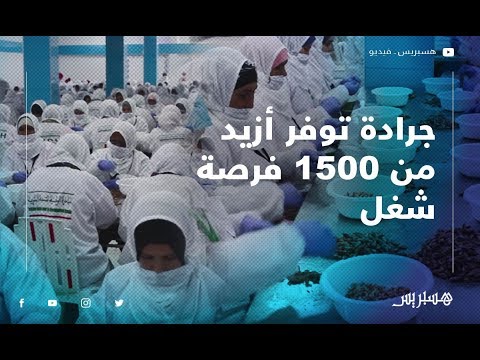 جرادة.. افتتاح وحدة صناعية ستشغل أزيد من 1500 شخص