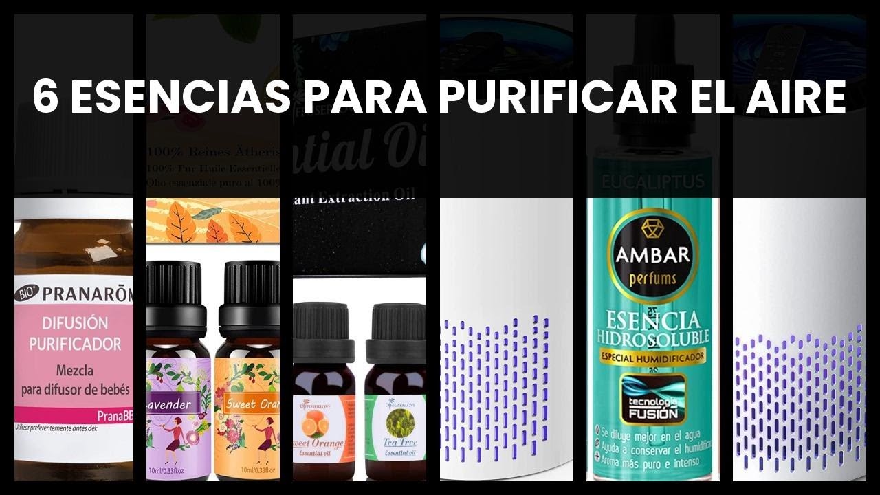 Watch Esencias para purificador de aire: 6 esencias para purificar el aire Now Esencias para purificador de aire: 6 esencias para purificar el aire