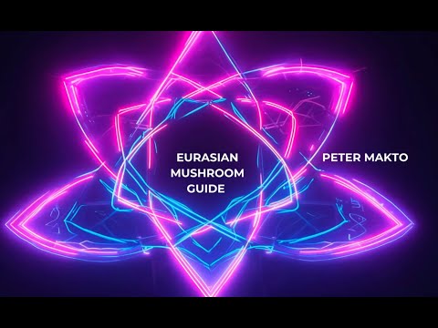 Peter Makto - Eurasian Mushroom Guide (1 hour journey - DJ mix)