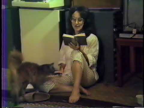 1985-06-18 NSFRI - Plato - Theaetetus (168c-172b) - The Reconstruction of Protagoras' Position and