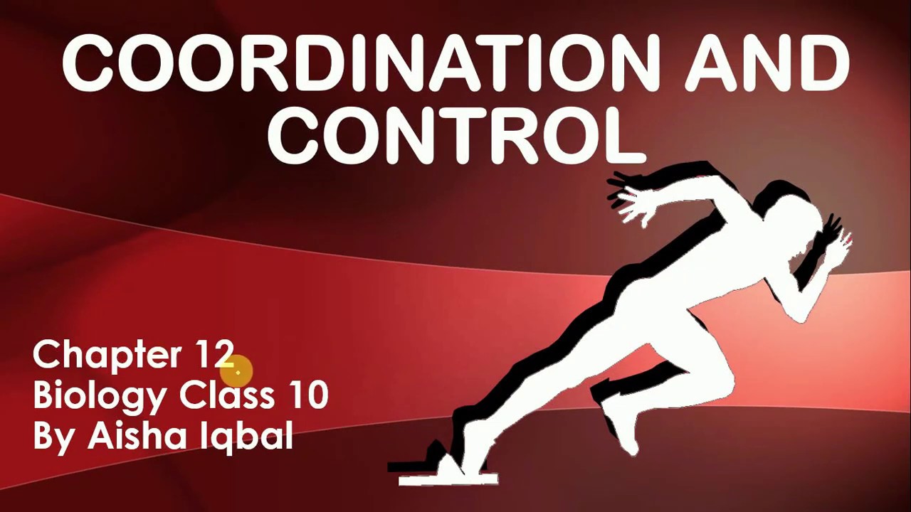 Coordination and Control - Introduction