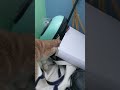 Cream Tabby Cat Curiosity Shorts