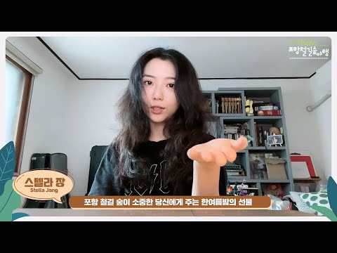 『2023 힐링필링 포항 철길숲야행-스텔라장』