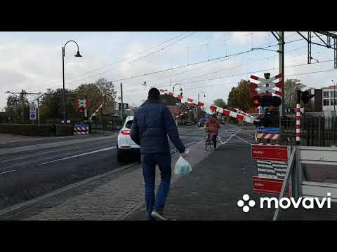 Treinen bij station Gilze-Rijen 7-10-2021. Dutch railway crossing