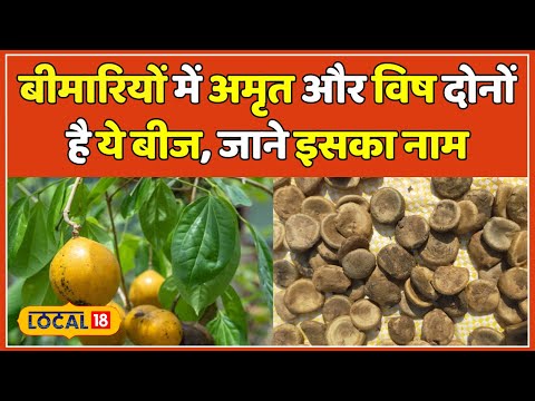 Kuchla nux vomica, packaging size: 11 ml