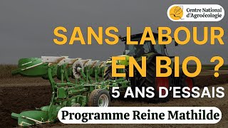 SANS LABOUR EN BIO, 5 ANS D'ESSAIS