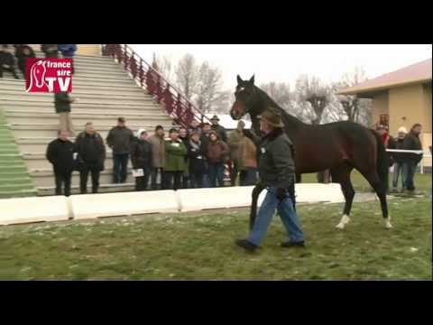 DESIR DUN SOIR - Etalon Show du Centre-Est 2013