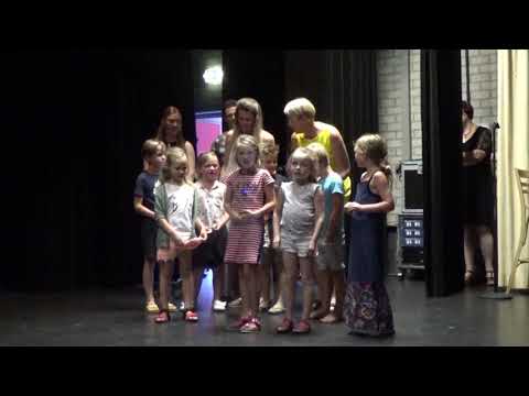 28-06-2019 UITGELICHT: Afscheidsavond De Driehoek