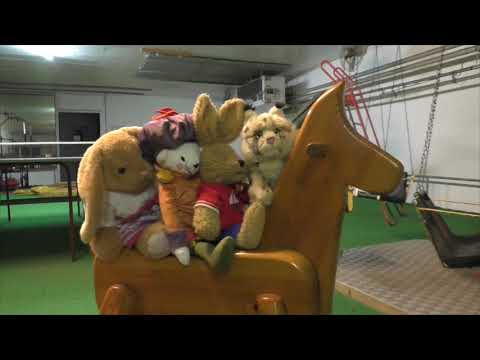 Video 8 aus  Nordsee-Ferienhof Wittmaack - Beliebtester Ferienhof Deutschlands 2024