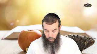 הכנה לראש השנה | הרב שמואל אידלמן (הרב יוסף צבי בן פורת) - התמונה מוצגת ישירות מתוך אתר האינטרנט יוטיוב. זכויות היוצרים בתמונה שייכות ליוצרה. קישור קרדיט למקור התוכן נמצא בתוך דף הסרטון