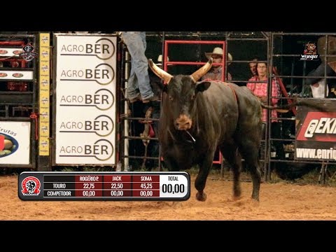 27º ENCONTRO DE COWBOYS DE PIRANGI/SP l SEXTA / MELHORES TOUROS