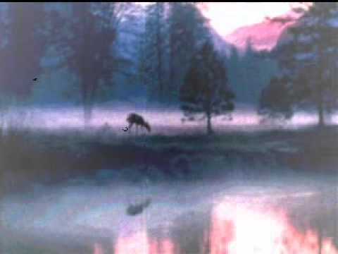 Tracy Nelson   Mother Earth