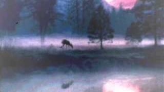 Tracy Nelson   Mother Earth