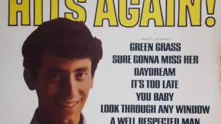Gary Lewis &amp; The Playboys - sure gonna miss her