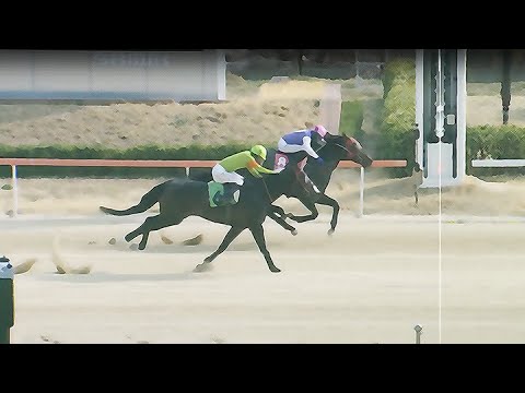 9/13-(토)-손석범-메인33,7배+승부27.4배+34.9배[가야할마필]오늘도/분명한이유/다적중+중배당..!!