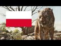 The Jungle Book 2016 Shere Khan At The Water Truce Polish Polski
