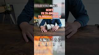 『ガジェット紹介』ぜひ、ロング動画へ！望遠なのにマクロ撮影も！SONY FE 70-200mm F4.0 G OSS Ⅱのレンズが最強すぎる#FE70-200mmF4.0GOSSⅡ#ハーフマクロ