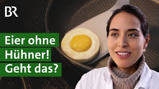 Ei-Ersatz: Vegane Eier mit Eigelb, Eiweiß und Schale | Unser Land | BR