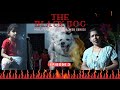 The Black Dog | Episode 03 | ദി ബ്ലാക്ക് ഡോഗ് | Malayalam Horror Thriller Web Series