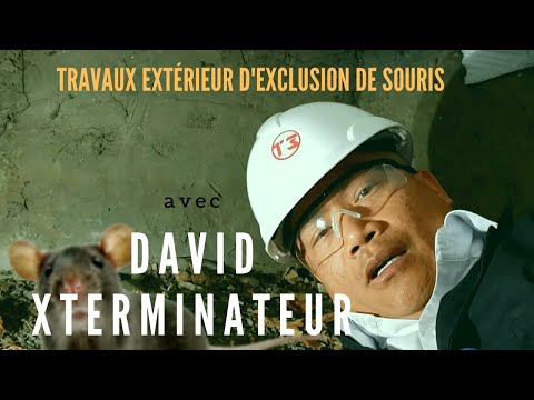 T3 CIRCLE EXTERMINATION video.