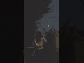 Mann Bharryaa 2 0 WhatsApp Status B Praak Man Bharya 2 0 Siddharth Kiara Status Shershaah