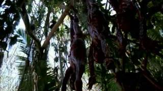 Samael Rebellion.avi