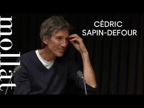 Cédric Sapin-Defour - Où les étoiles tombent