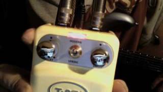 Video thumbnail for The T-Rex ToneBug Reverb presented by Milan Polak by Milan Polak
