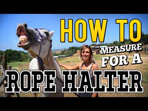, title : 'How to Measure your Horse for a Rope Halter'
