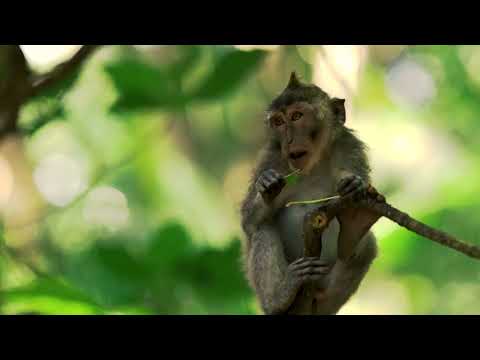 Discovery Nature Camp | Dharampur | TVC | Bizzippy | Jignesh Patel #jigneshpatel #adfilm #tourism