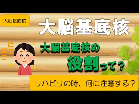 霊長類の大脳基底核系について詳しく解説