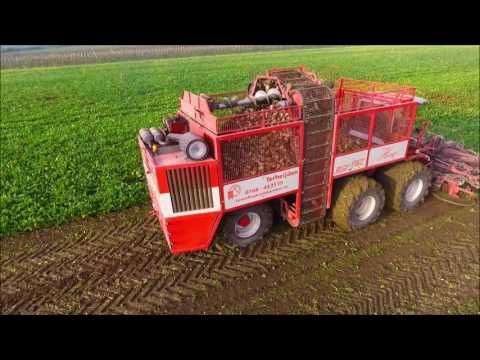 Agrifac Hexa 12 suikerbieten rooier