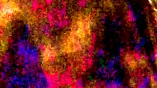 Nina Simone - Marriage Is For Old Folks - RAYBURNWORLD