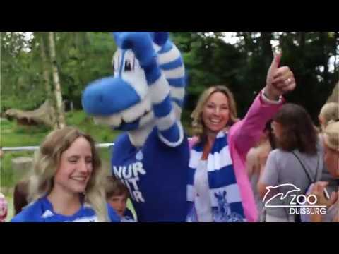 Zoo Duisburg-Tirakel tippt auf Sieg für Deutschland (16.06.2018)