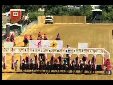 Pimlico 05/17/13 Race 1