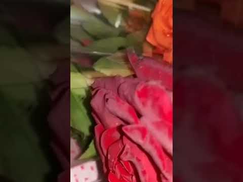 home made flower bouque #viral #viral #viralvideo #video #trending #flowers #flowerbouquet