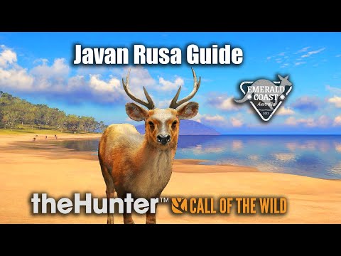Steam Community :: Video :: Javan Rusa Guide At Emerald Coast Australia ...