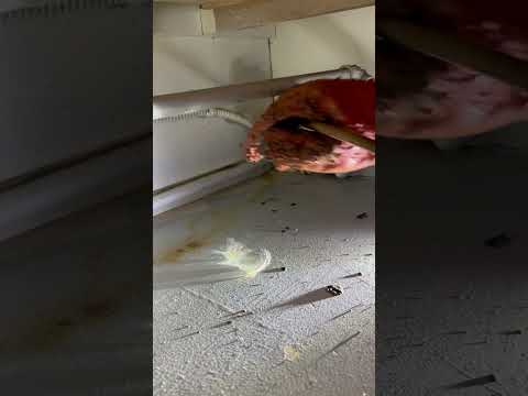 Video Thumbnail Video Thumbnail