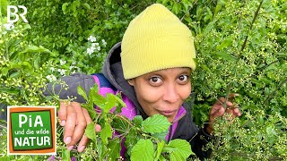 Ab in die Hecke! | Reportage für Kinder | Pia und die wilde Natur | BR