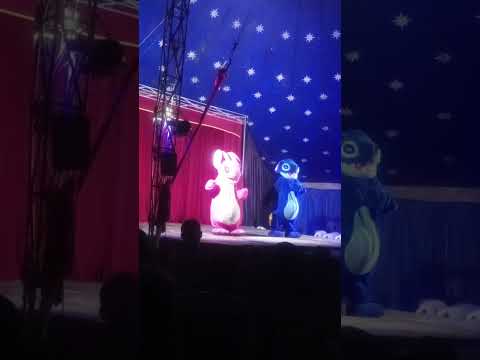 Stitch em Pedra Mole-Sergipe.