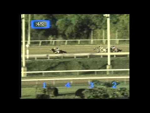 VERSET'S JET - Novena Carrera - 29 Enero 1995