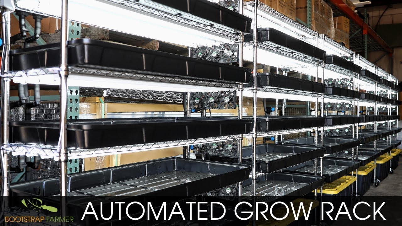 Bootstrap Farmer Automated Grow Rack